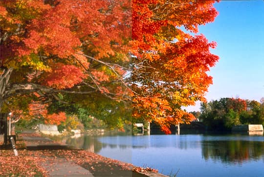 Choose together occur. Image